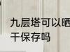 九层塔可以晒干怎么用 九层塔可以晒干保存吗