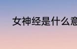 女神经是什么意思 女神经的定义