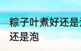 粽子叶煮好还是泡好 粽子叶是应该煮还是泡