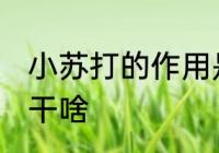 小苏打的作用是什么 小苏打的作用是干啥