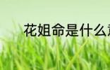 花姐命是什么意思 何为花姐命