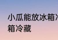 小瓜能放冰箱冷藏吗 小瓜能不能放冰箱冷藏