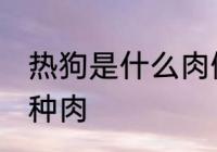 热狗是什么肉做的 热狗里面的肉是哪种肉