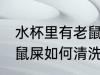 水杯里有老鼠屎怎么清洗 水杯里有老鼠屎如何清洗