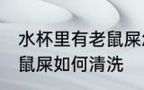 水杯里有老鼠屎怎么清洗 水杯里有老鼠屎如何清洗