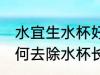 水宜生水杯好久没用有味怎么处理 如何去除水杯长久不用的异味