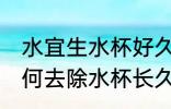 水宜生水杯好久没用有味怎么处理 如何去除水杯长久不用的异味