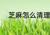 芝麻怎么清理干净 芝麻如何清理