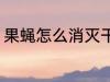 果蝇怎么消灭干净 果蝇消灭干净方法