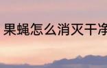 果蝇怎么消灭干净 果蝇消灭干净方法