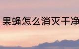 果蝇怎么消灭干净 果蝇消灭干净方法
