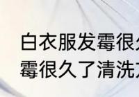 白衣服发霉很久了怎么洗掉 白衣服发霉很久了清洗方法