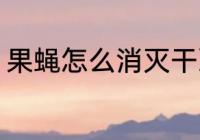 果蝇怎么消灭干净 果蝇消灭干净方法