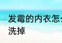 发霉的内衣怎么洗掉 发霉的内衣如何洗掉