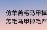 仿羊羔毛马甲掉毛严重怎么处理 仿羊羔毛马甲掉毛严重如何处理
