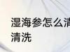 湿海参怎么清洗比较干净 湿海参如何清洗