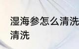 湿海参怎么清洗比较干净 湿海参如何清洗