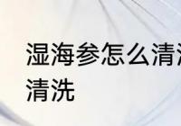 湿海参怎么清洗比较干净 湿海参如何清洗