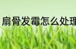 扇骨发霉怎么处理 扇骨发霉如何处理