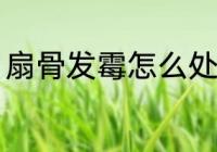 扇骨发霉怎么处理 扇骨发霉如何处理