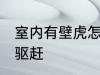 室内有壁虎怎么驱赶 室内有壁虎如何驱赶