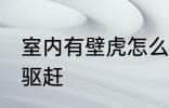室内有壁虎怎么驱赶 室内有壁虎如何驱赶
