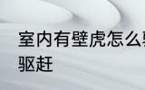 室内有壁虎怎么驱赶 室内有壁虎如何驱赶