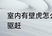 室内有壁虎怎么驱赶 室内有壁虎如何驱赶