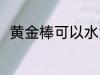 黄金棒可以水洗吗 黄金棒能水洗吗