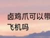 卤鸡爪可以带上飞机吗 卤鸡爪能带上飞机吗