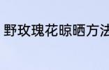 野玫瑰花晾晒方法 野玫瑰花怎么晾晒
