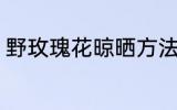 野玫瑰花晾晒方法 野玫瑰花怎么晾晒