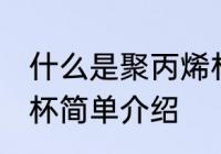 什么是聚丙烯材料水杯 聚丙烯材料水杯简单介绍