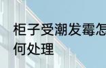 柜子受潮发霉怎么办 柜子受潮发霉如何处理