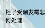 柜子受潮发霉怎么办 柜子受潮发霉如何处理