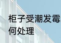 柜子受潮发霉怎么办 柜子受潮发霉如何处理