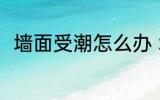 墙面受潮怎么办 墙面受潮如何处理