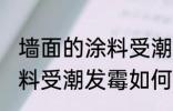 墙面的涂料受潮发霉怎么办 墙面的涂料受潮发霉如何处理