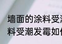 墙面的涂料受潮发霉怎么办 墙面的涂料受潮发霉如何处理