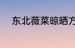 东北薇菜晾晒方法 如何晾晒薇菜