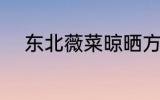 东北薇菜晾晒方法 如何晾晒薇菜