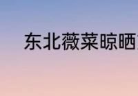 东北薇菜晾晒方法 如何晾晒薇菜
