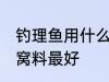 钓理鱼用什么窝料最好 钓理鱼用那种窝料最好