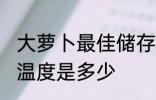 大萝卜最佳储存温度 大萝卜最佳储存温度是多少
