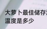 大萝卜最佳储存温度 大萝卜最佳储存温度是多少