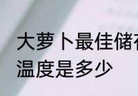 大萝卜最佳储存温度 大萝卜最佳储存温度是多少