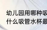 幼儿园用哪种吸管水杯最好 幼儿园用什么吸管水杯最好