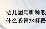 幼儿园用哪种吸管水杯最好 幼儿园用什么吸管水杯最好