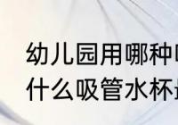 幼儿园用哪种吸管水杯最好 幼儿园用什么吸管水杯最好